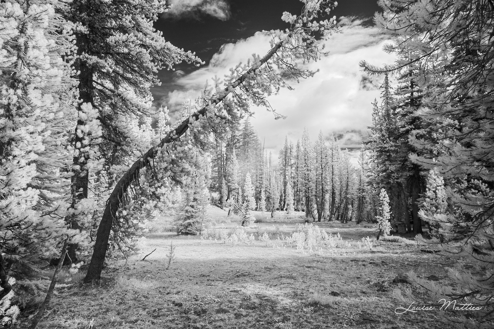 Lassen VNP Infra Red 1