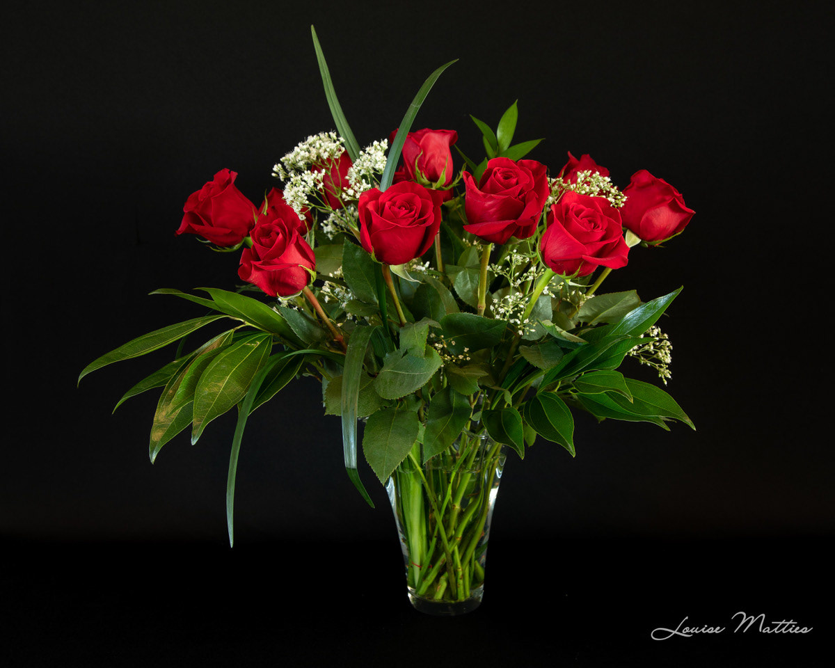 Red Roses 1