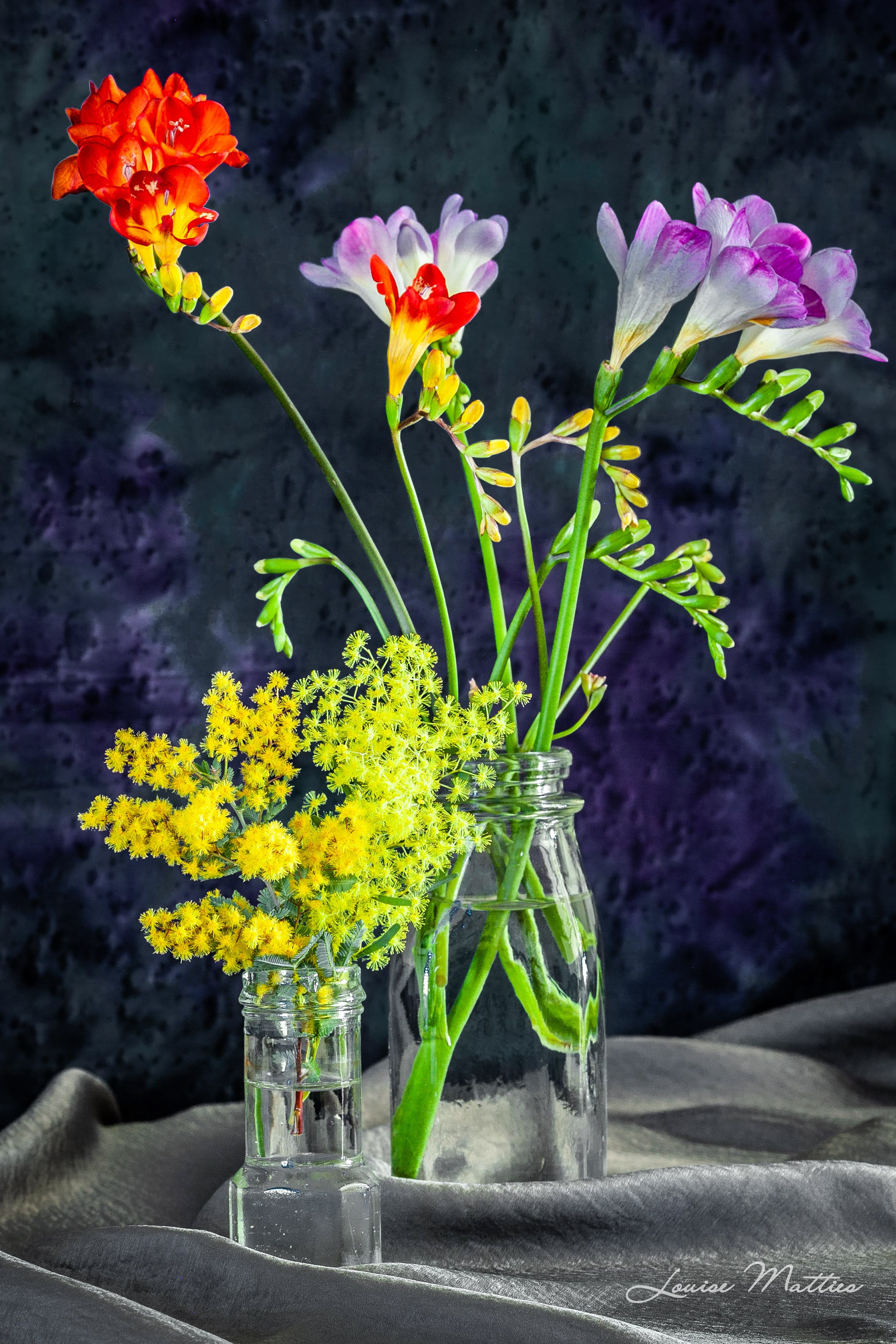 Freesias and Wattle 1
