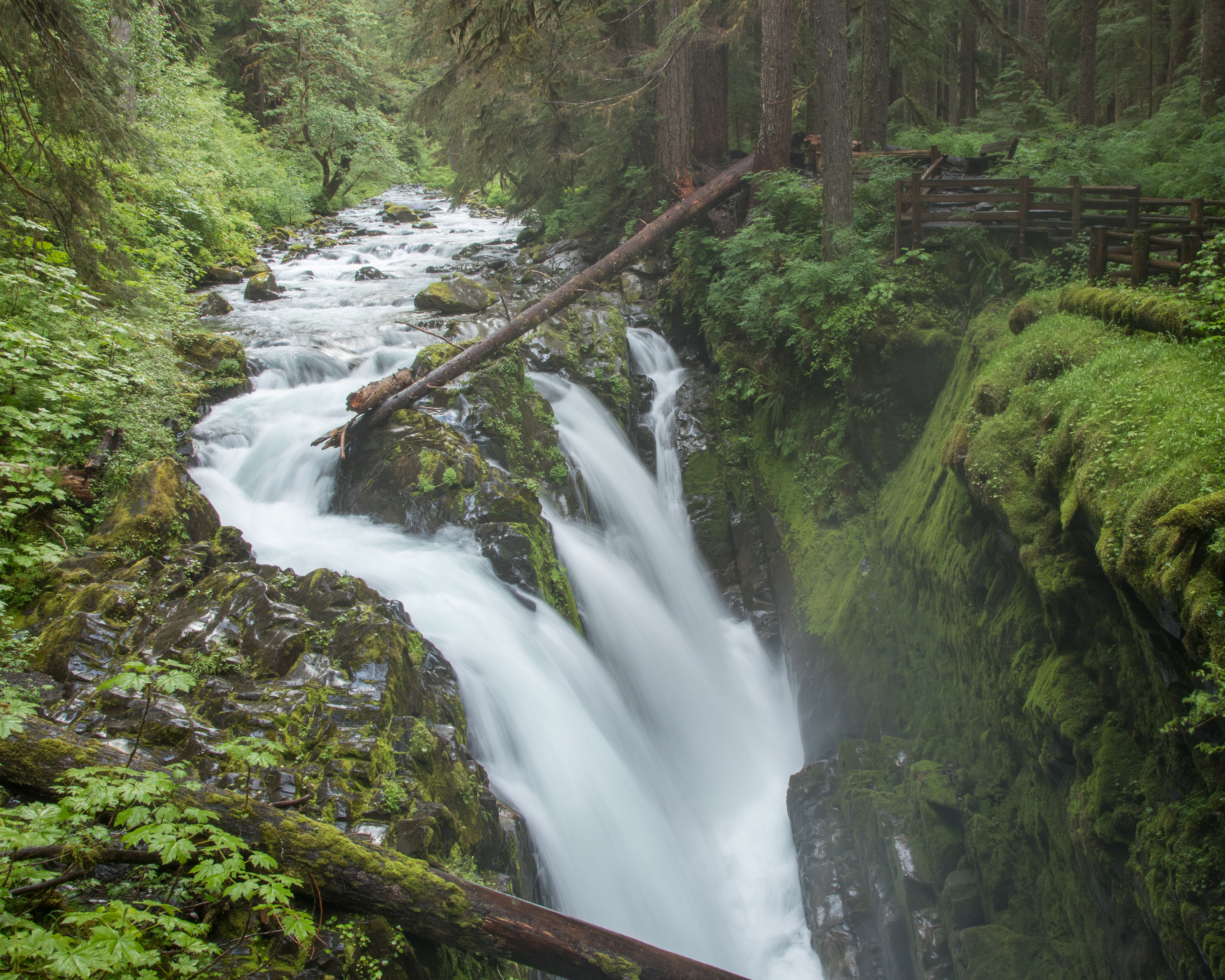 Sol Duc Falls 1
