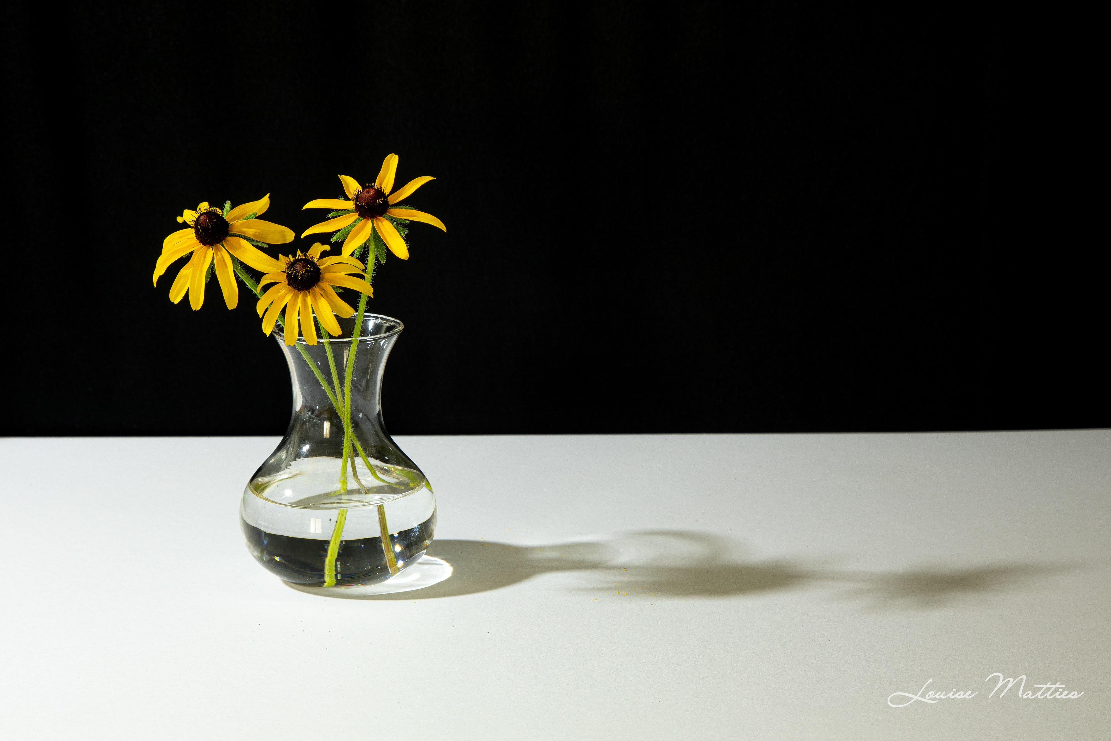 Yellow flowers in vase