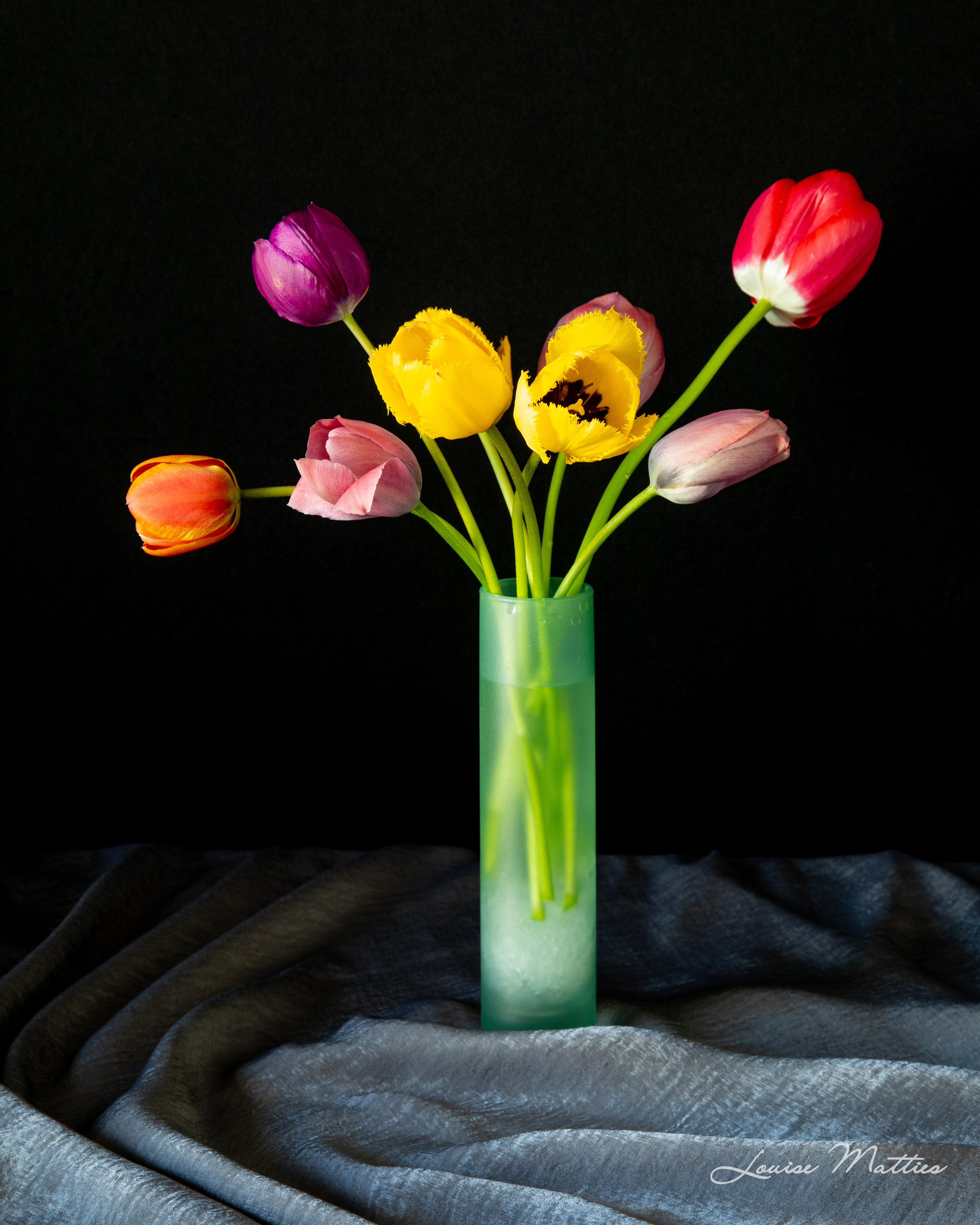 Tulips Vase color 2