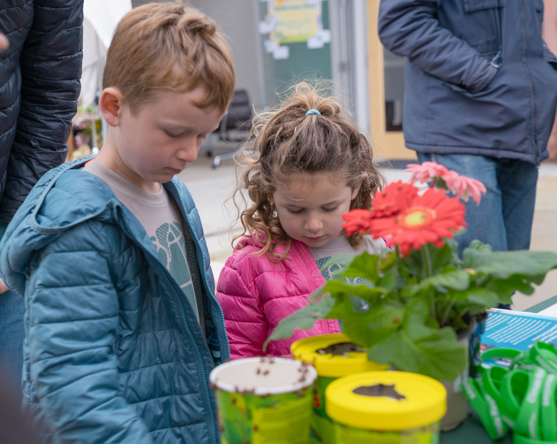 Earth Day, Menlo Park