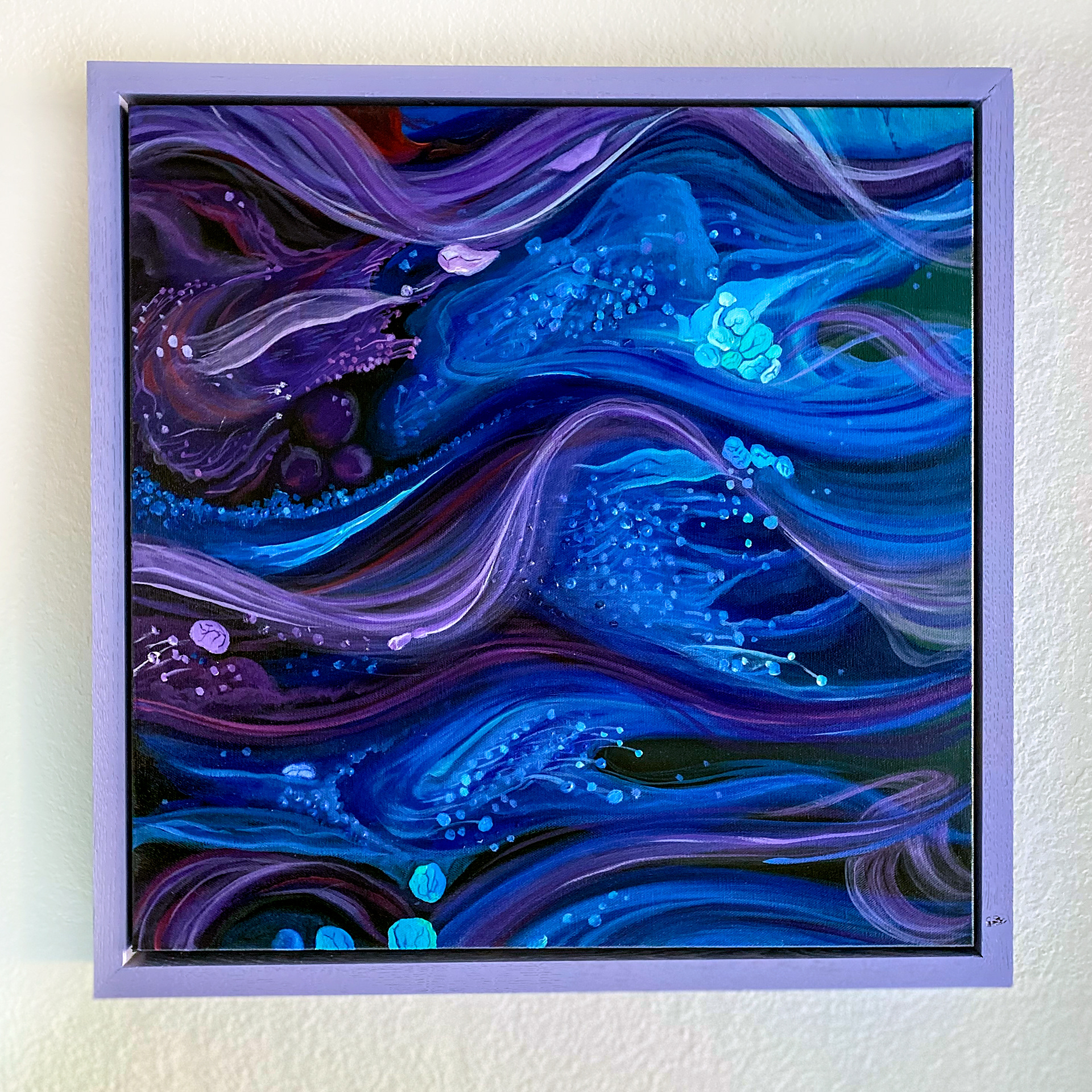 A Gaze Beyond the Rockweed