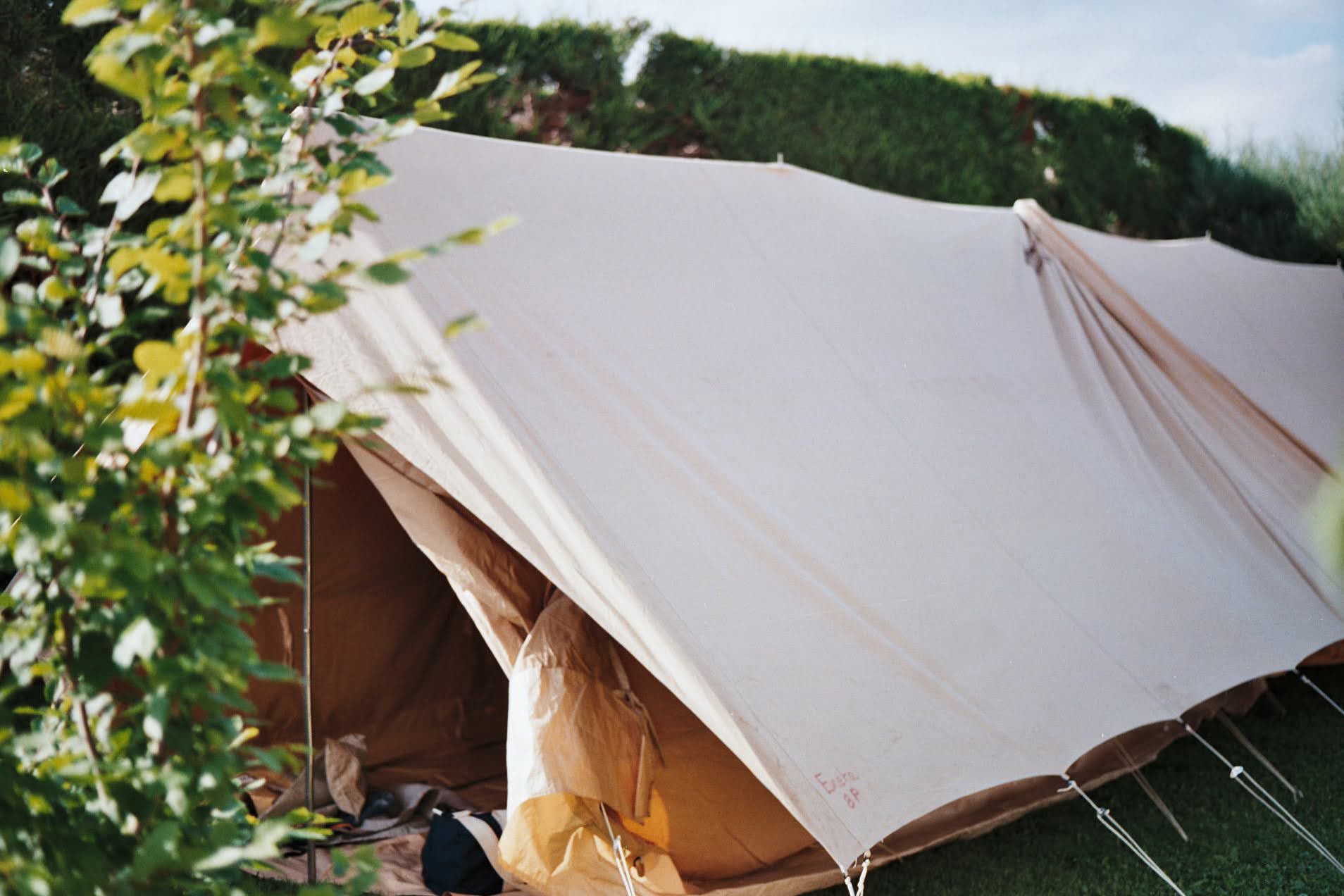 Scout at home - Argentique 2021