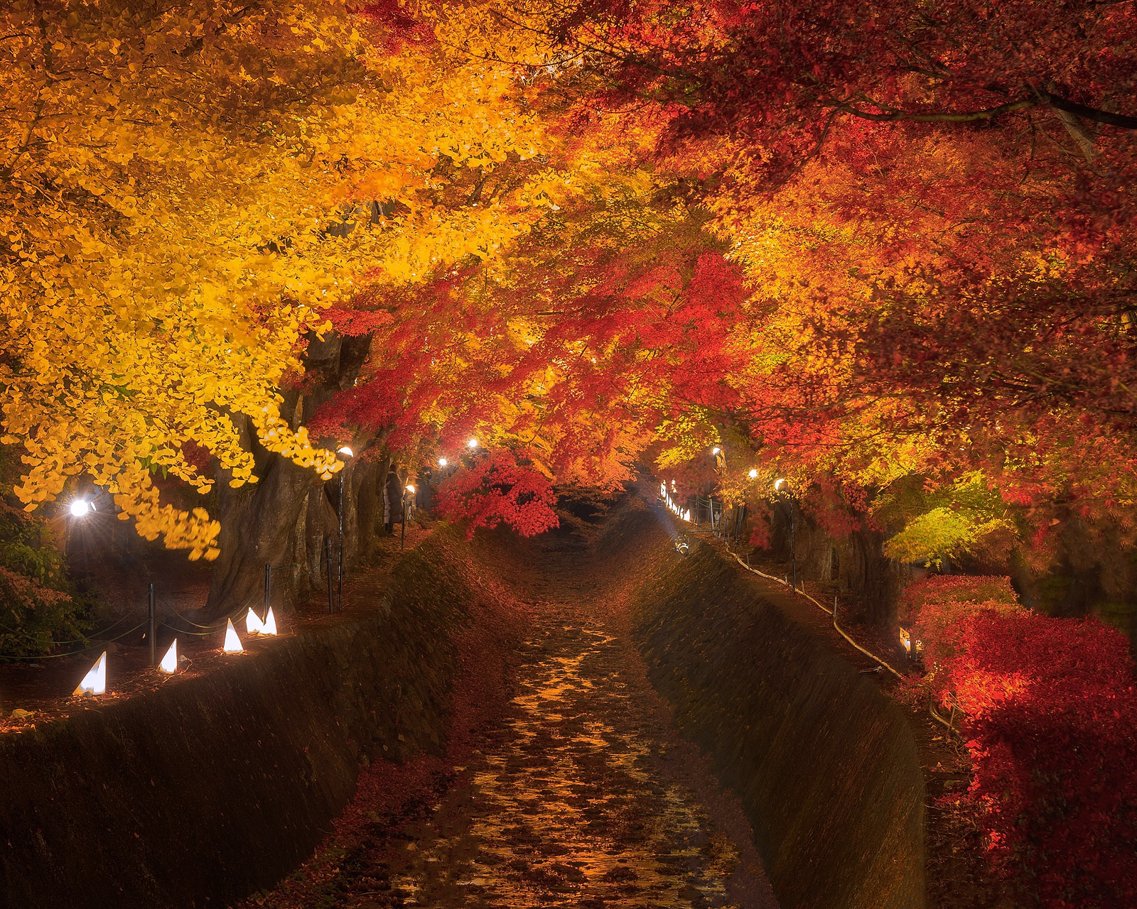 Light up at Kawaguchiko