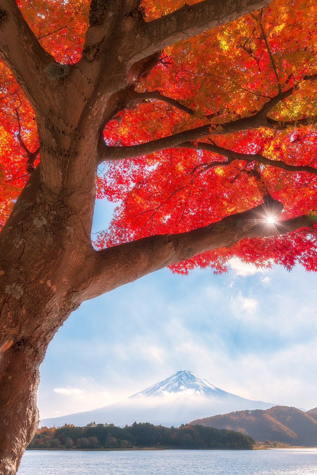 Mt.Fujisan in autumn