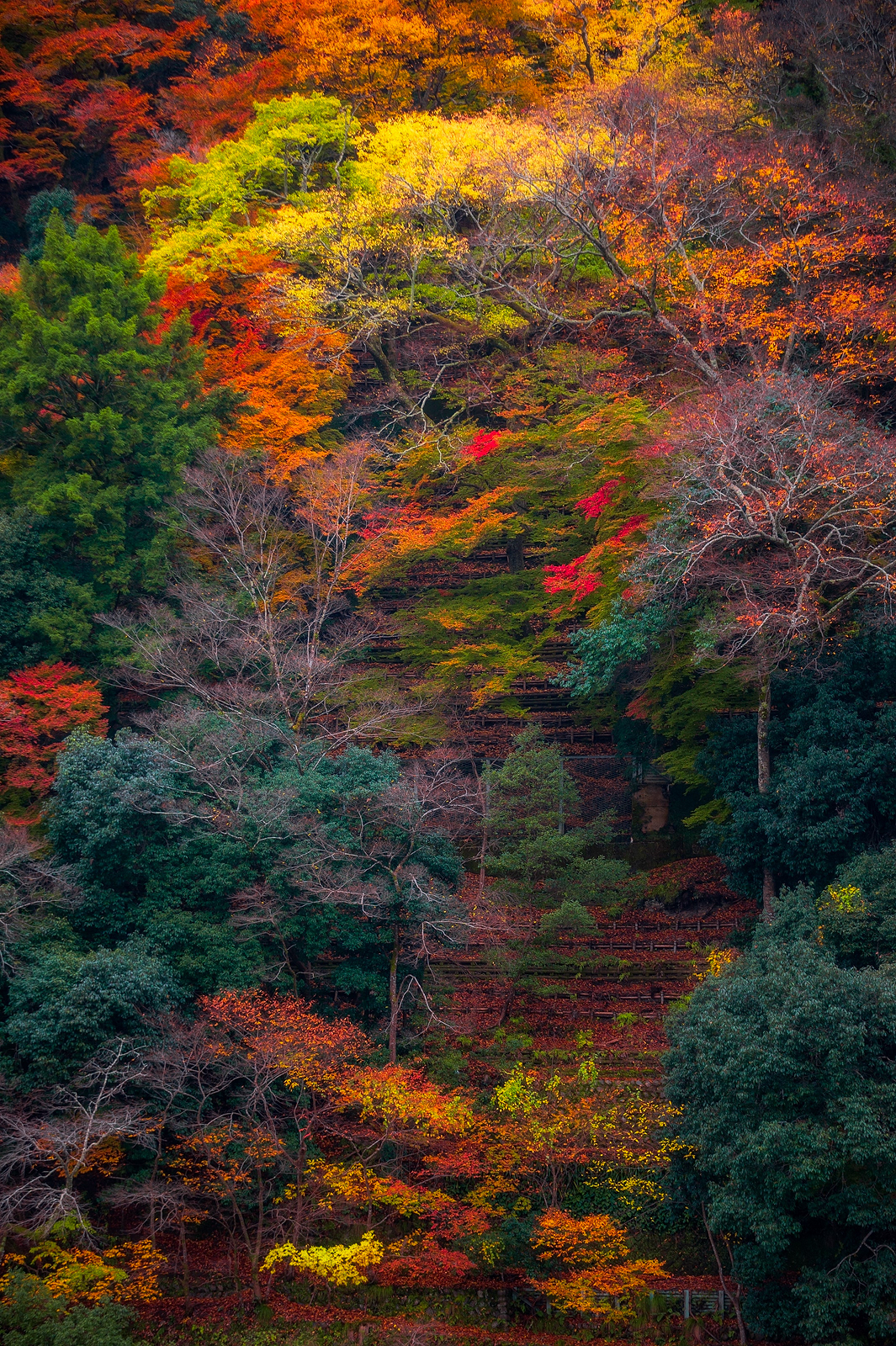 Autumn