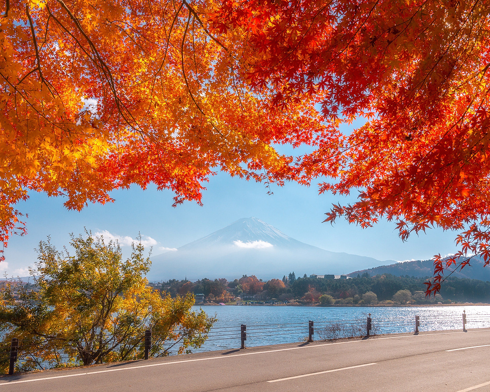 Romantic autumn road