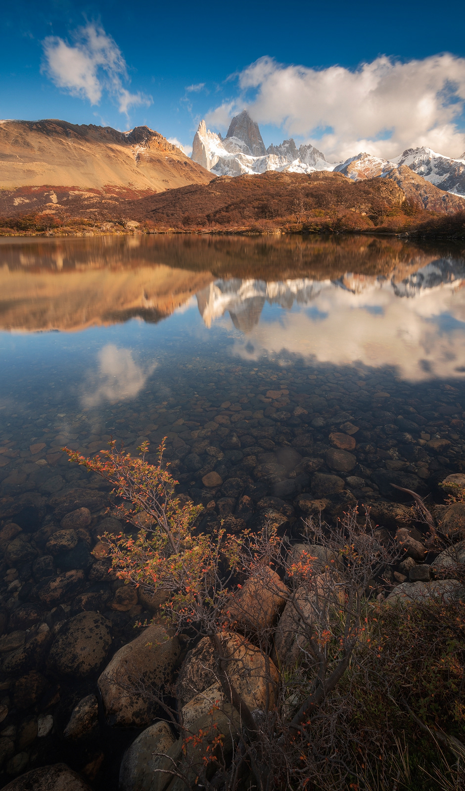 Reflection