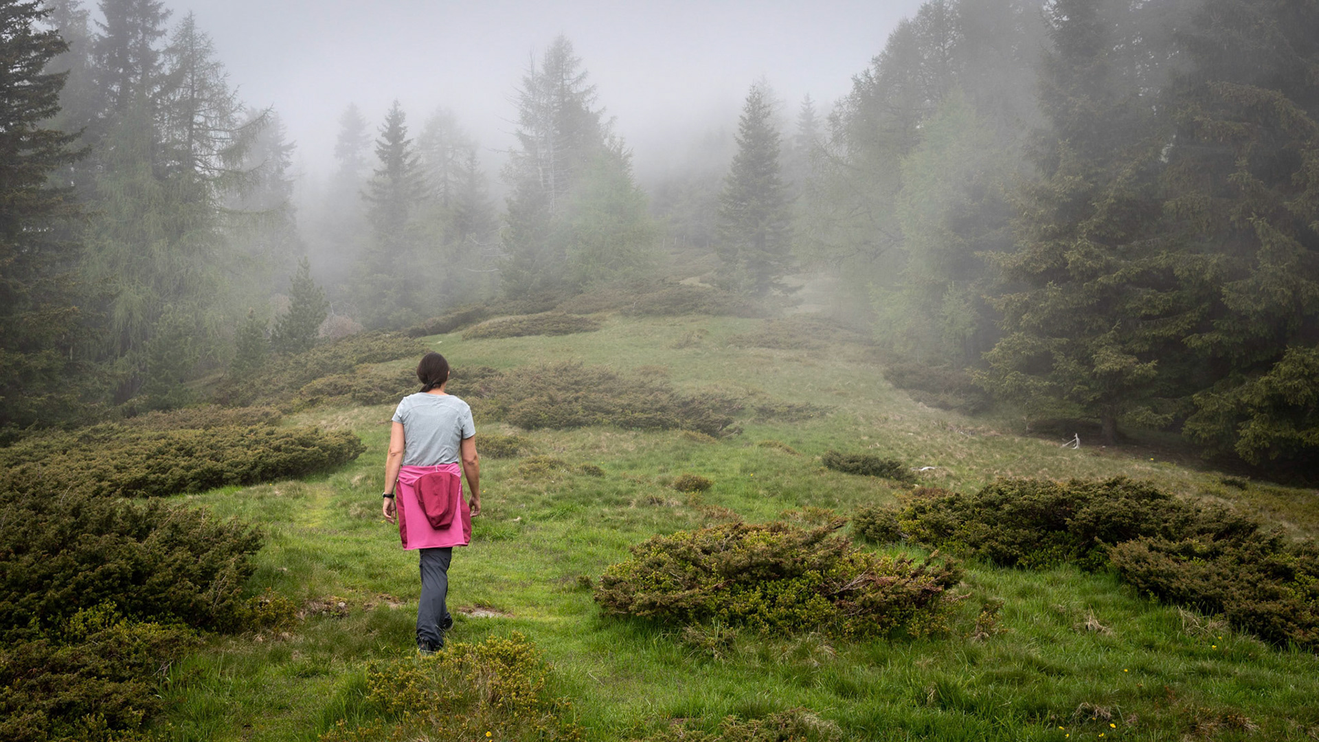 Wanderung im Nebel / Steiermark