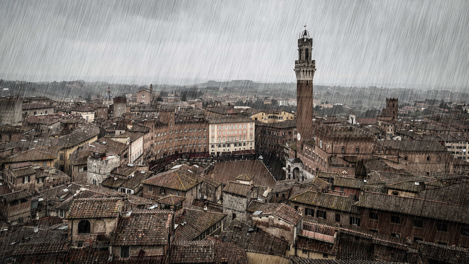 Siena / Italien
