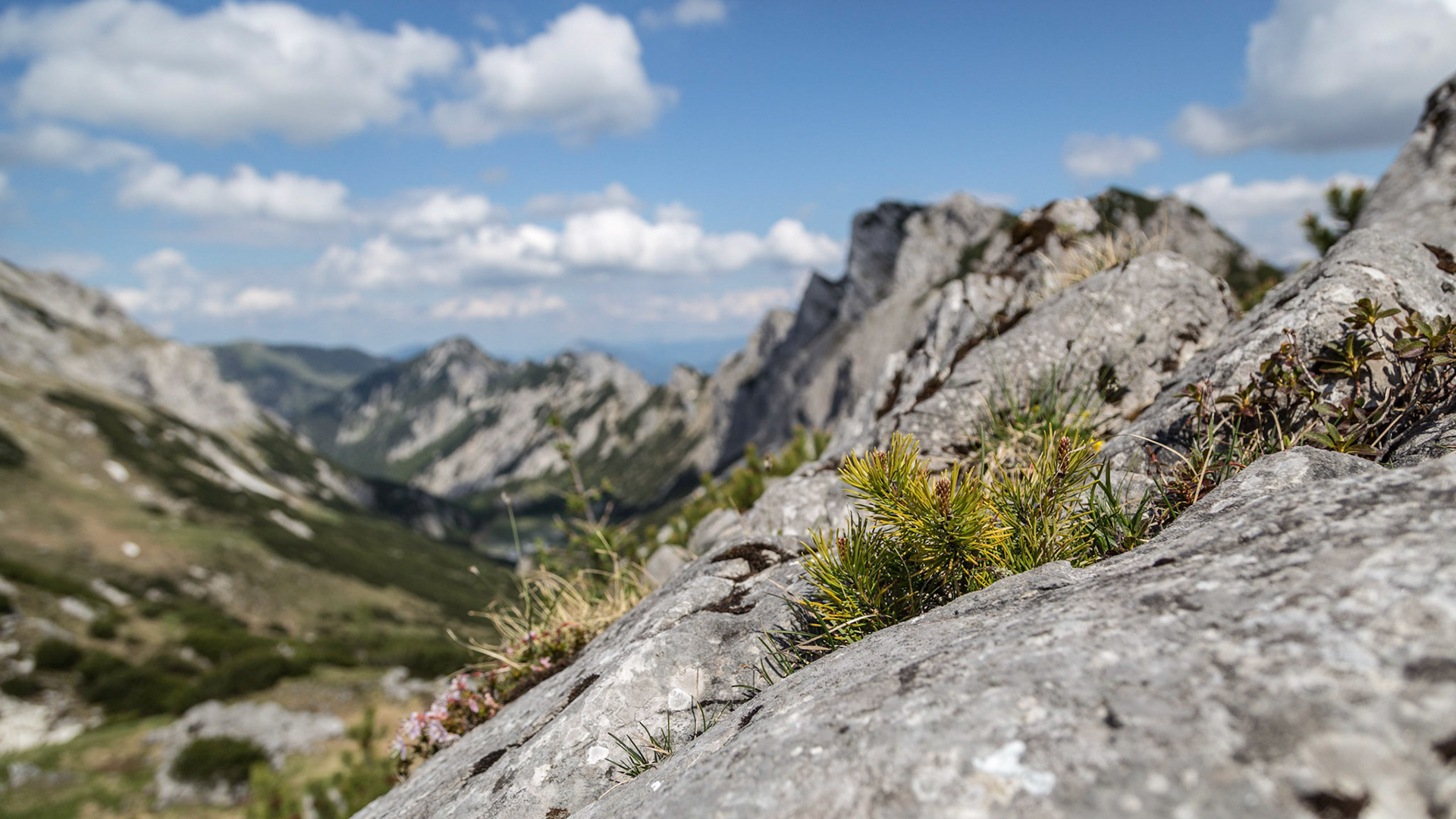 Grabnerstein / Steiermark