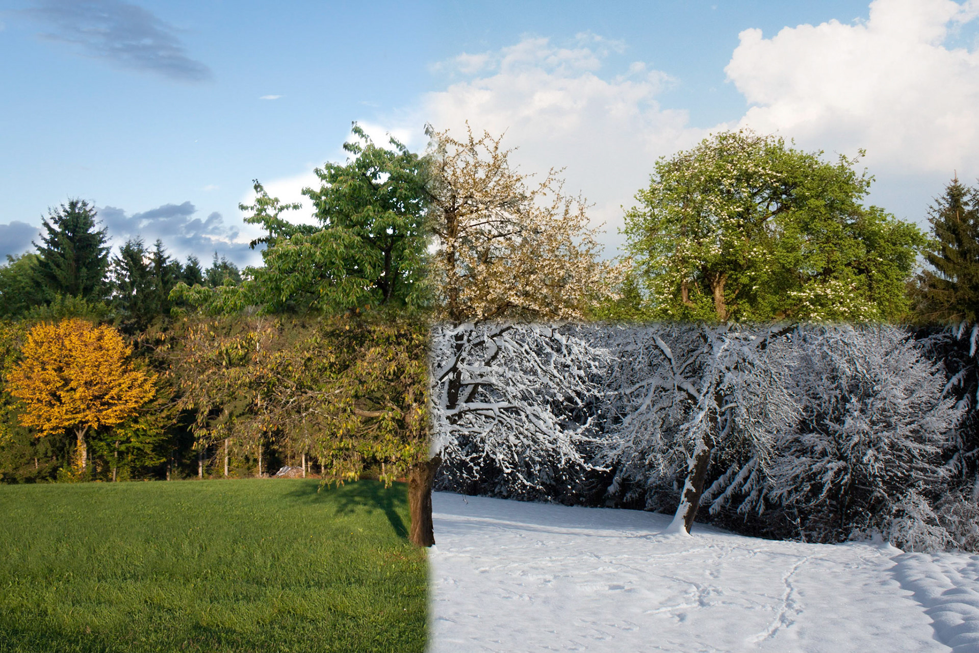 Vier Jahreszeiten