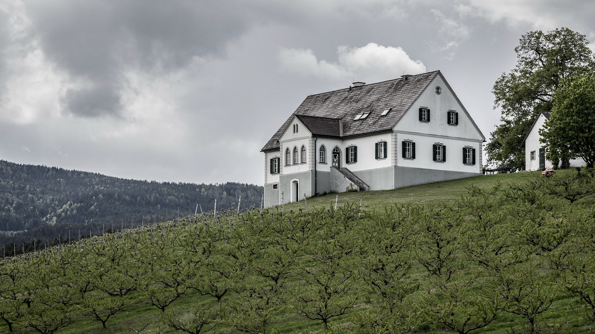 Winzerhaus / Steiermark