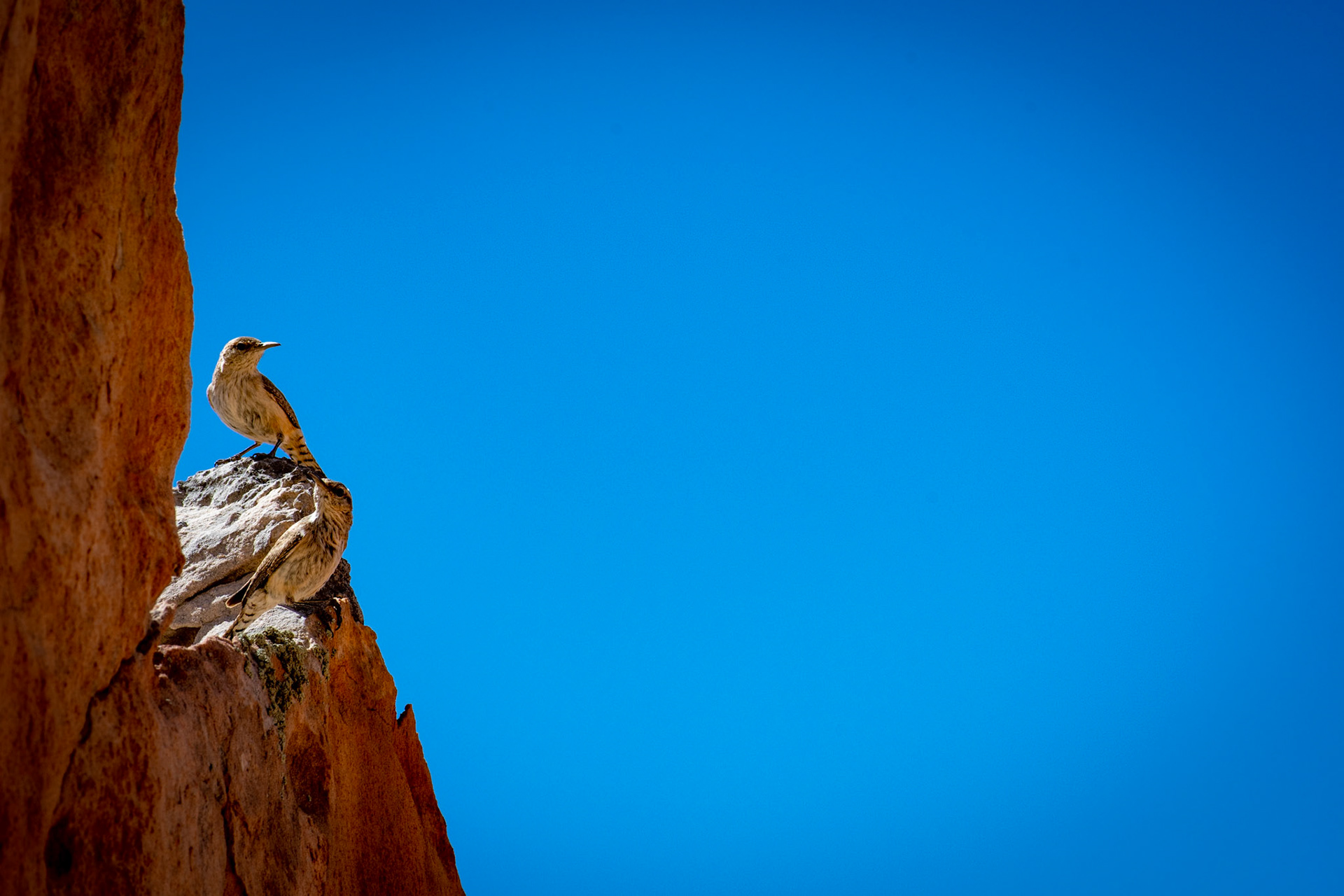 Page, AZ