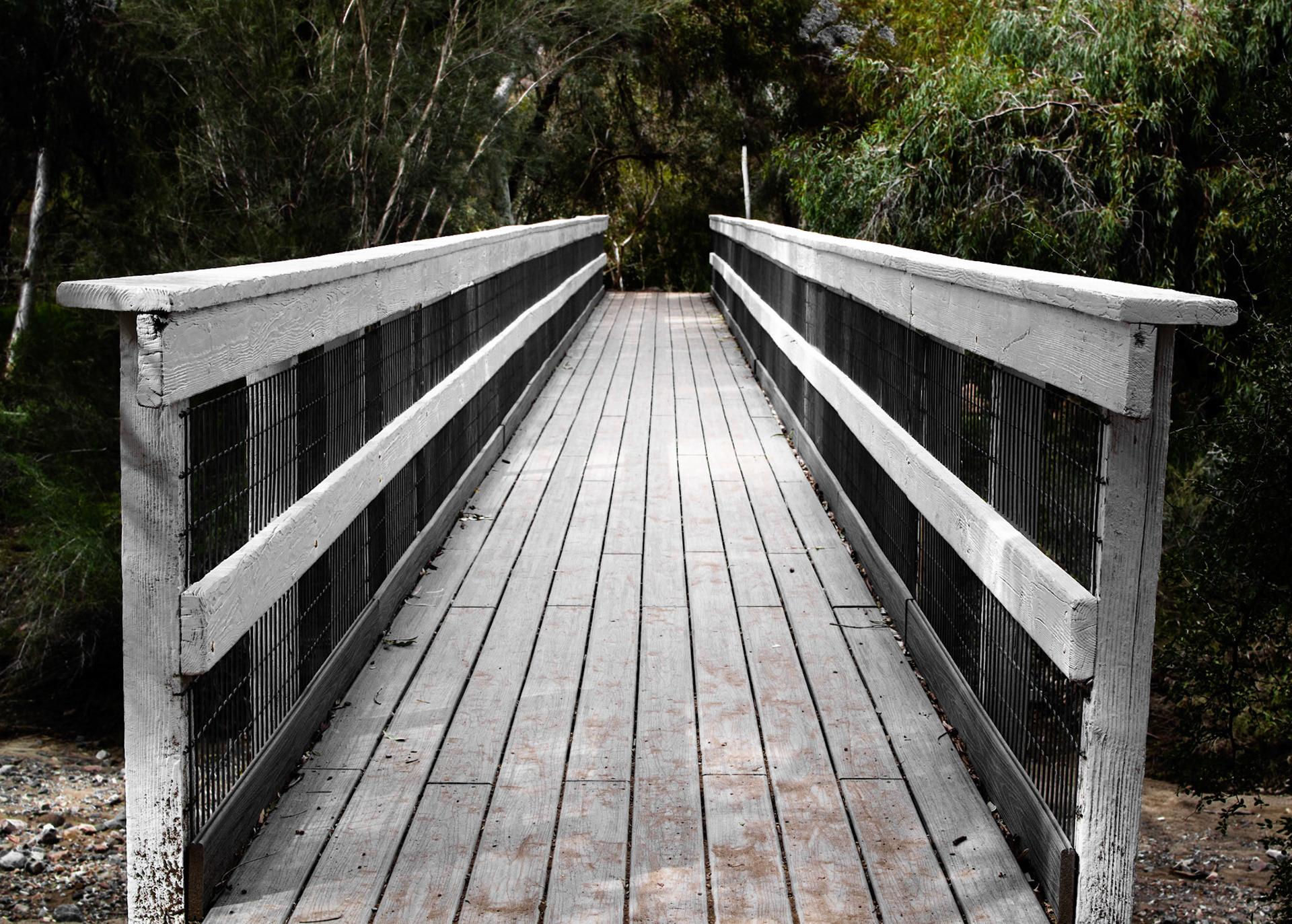 Boyce Thompson Arboretum, AZ
