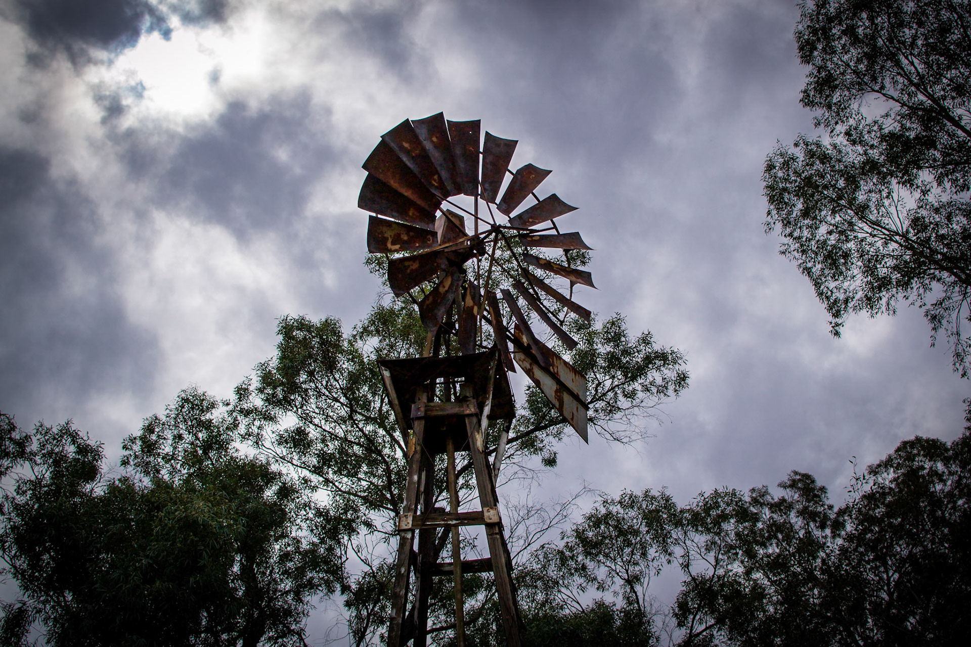 Boyce Thompson Arboretum, AZ