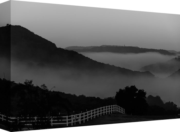 Standing Tall You Could See the Next Bank of Fog