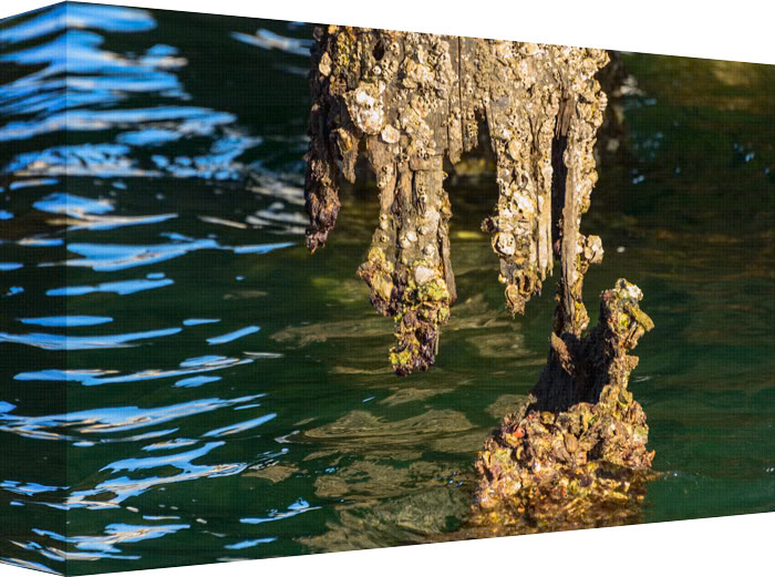 I Got it, Just Come A Little Closer