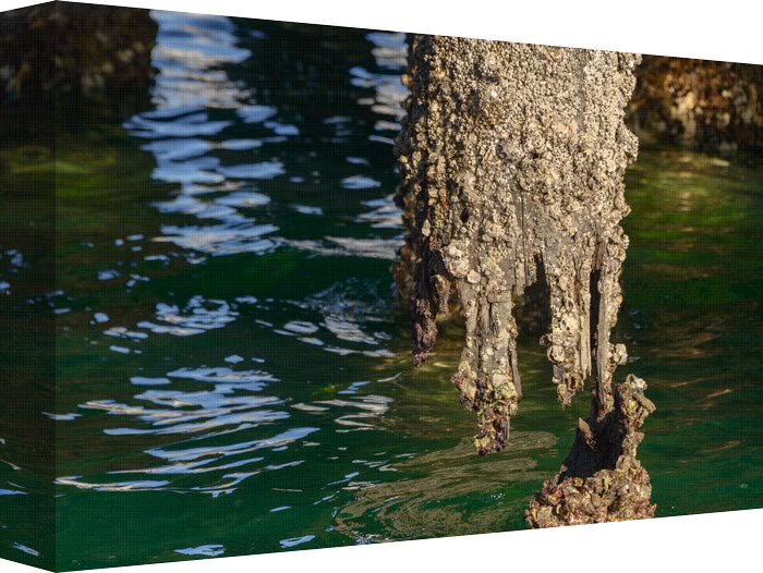 Just a Little Closer on the Dockside