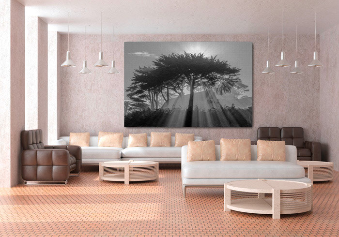 This Canvas Wall Artwork depicts a stunning scene of sun flair rays penetrating the foliage of a majestic tree. The contrast between the bright light and the dark shadows creates a dramatic effect that captures the eye and the imagination. The artwork is a perfect choice for anyone who loves nature and appreciates its beauty and mystery.