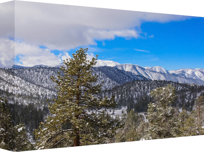 The Distance is Calling You