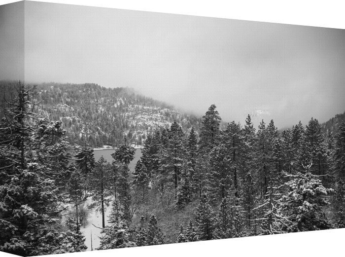 In the Distance is a Clearing