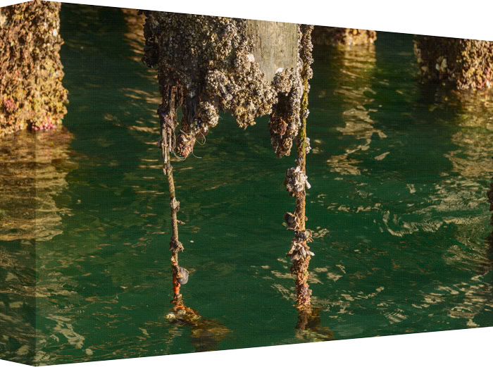 Seaport just Hanging by Threads