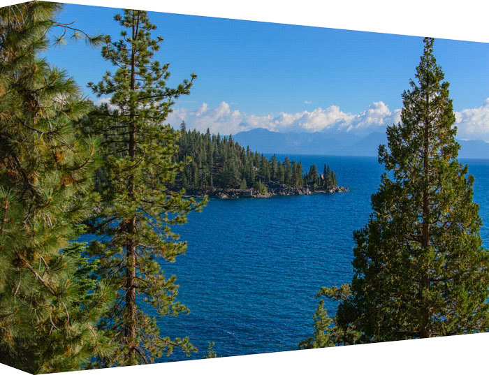 Framed between Large Pines Illuminates Paradise