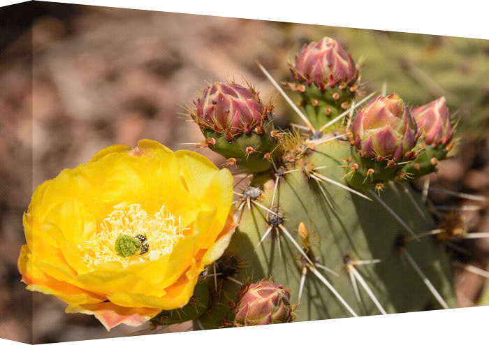 Home is where you find Happiness...