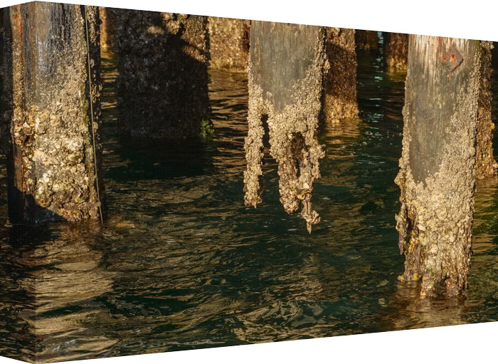 I’m In Need of a Little More Support