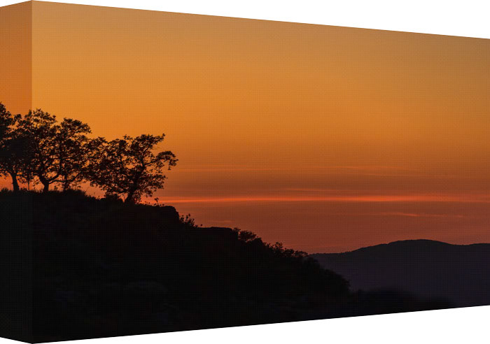 Needing the Sunset to Rise