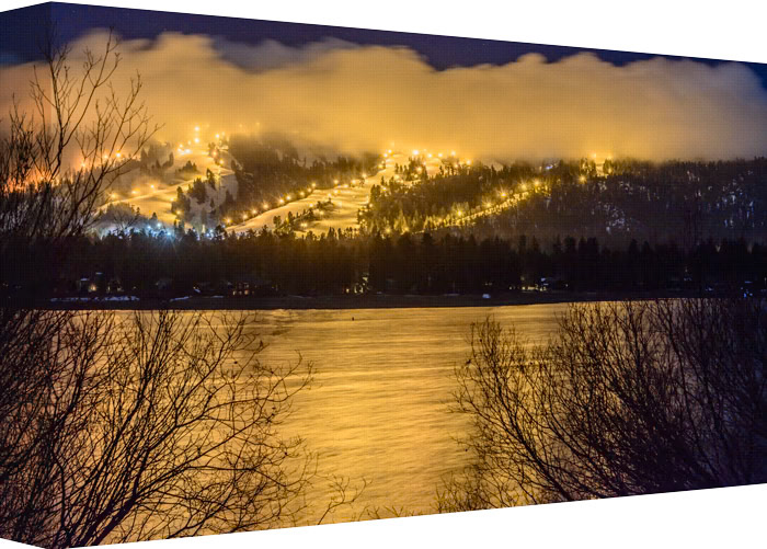 What A Little Moonlight Can Do