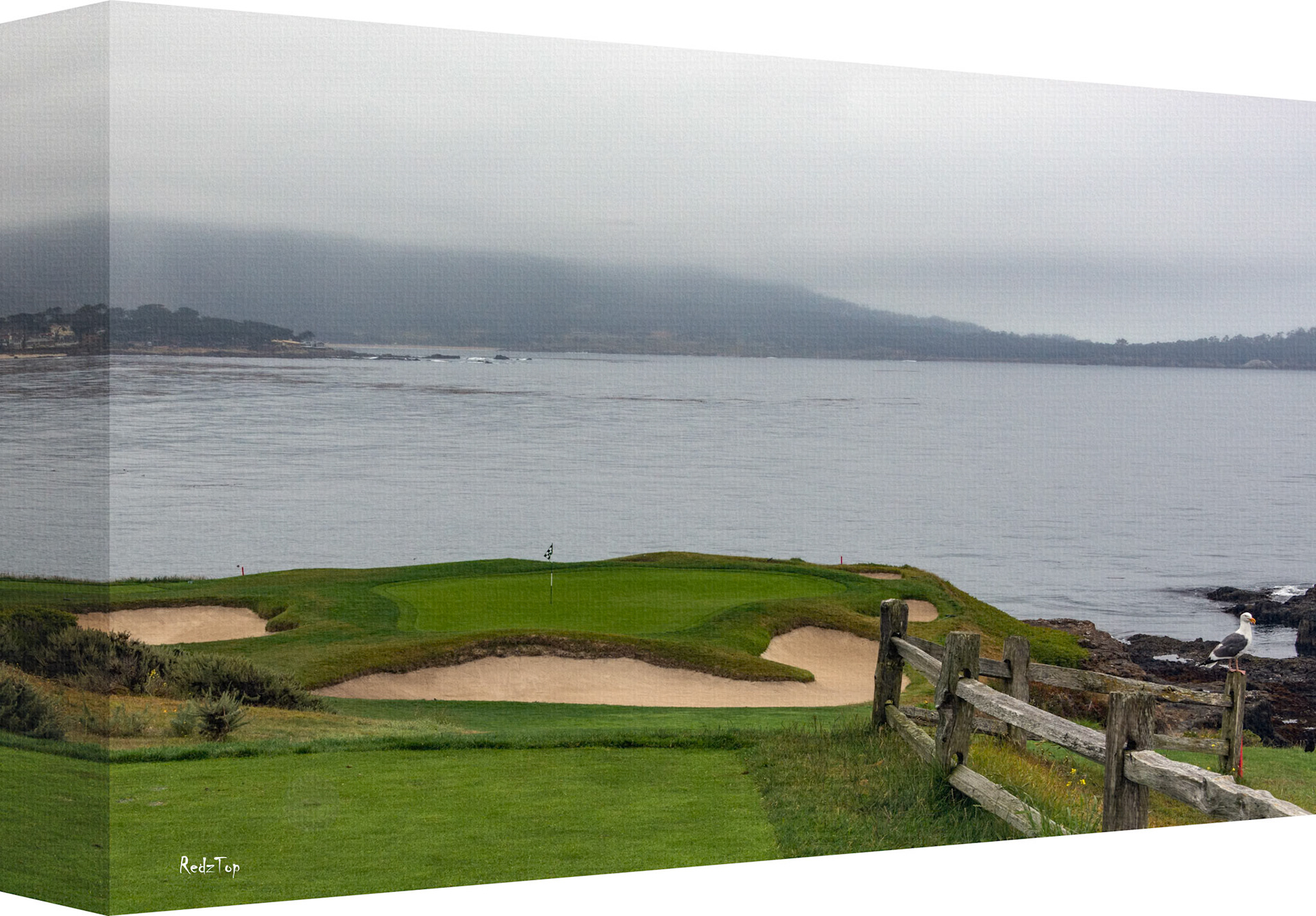 Siegel’s Viewpoint