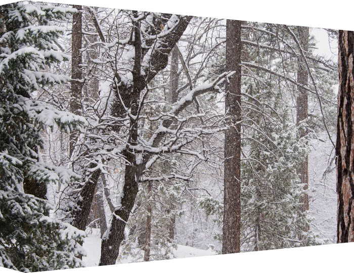 Journey through the Snow; Waltz of the Snowflakes