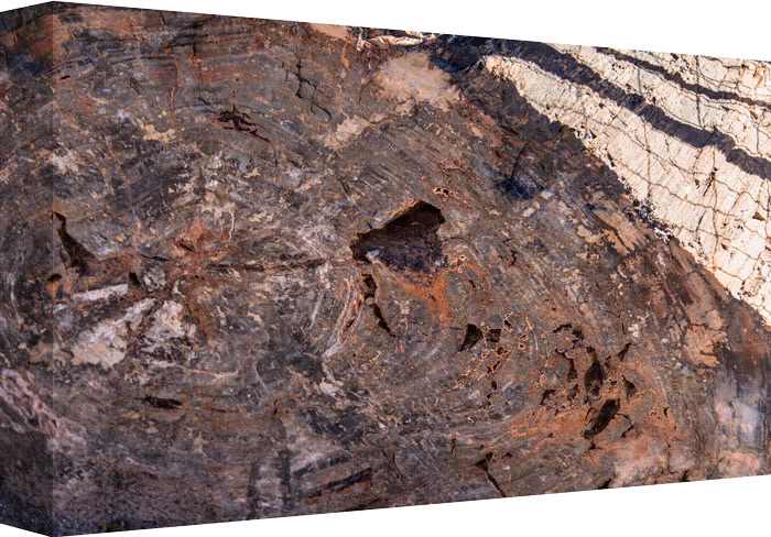 Getting Down into the Tree’s Cord