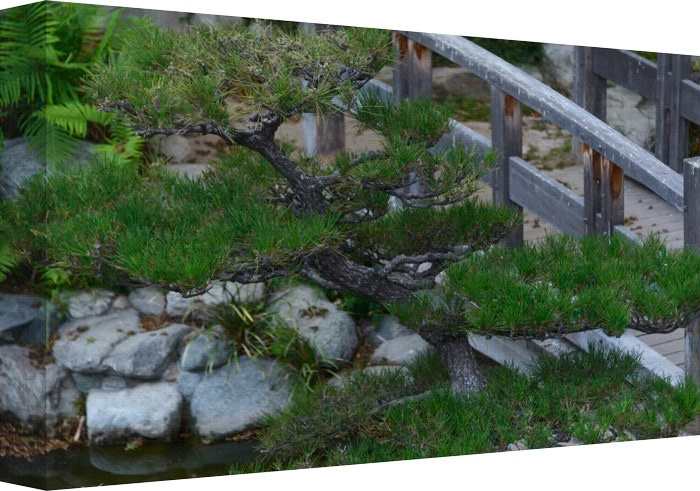 Step quietly across the wooden bridge, into the Garden of Pine Needles.