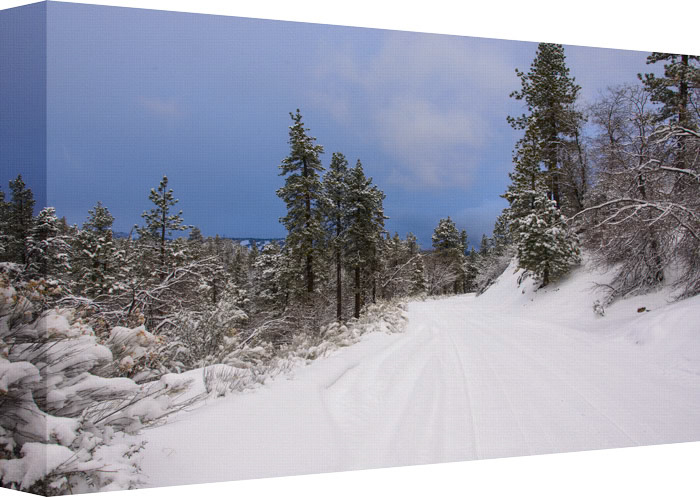 Journey through the Westland’s