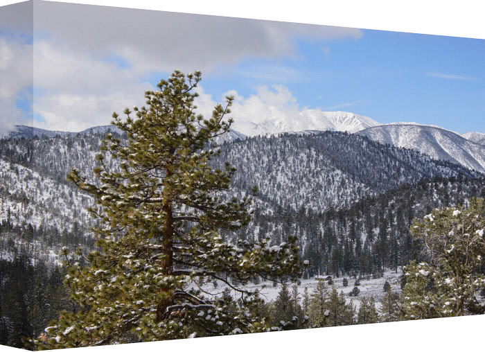 Little House in Snow