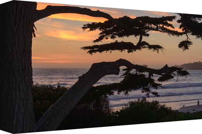 The setting is a Sunset over the Pacific Ocean.  The sky is full of orange and yellow flares, viewed and appreciated between tree branches as the sun sets.  The ocean waves continue to roll in as man and his dog are on the beach along, witnessing a spectacular occurrence.