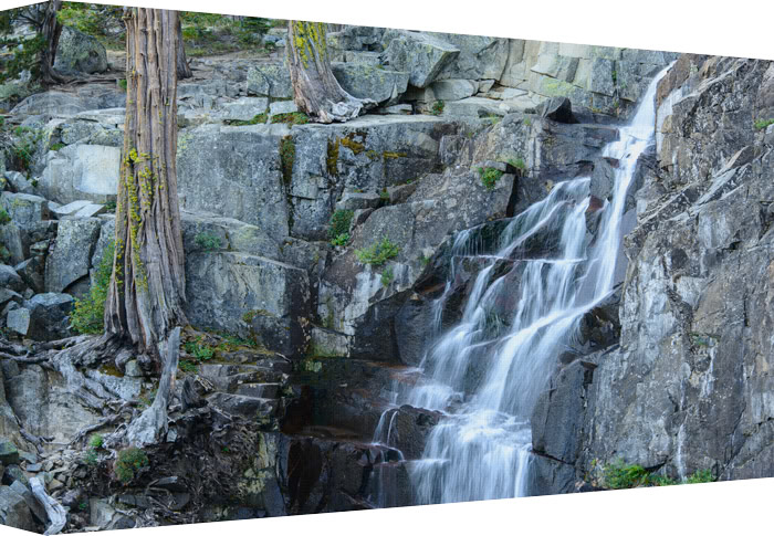 Steps Going Down, Trees Going Up