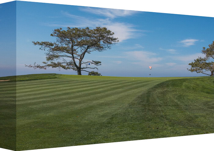 The striking beauty of the California coastline sets up the perfect conditions for a ball &amp; a walk in the Park.