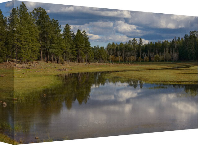 My Favorite Place to Just to Hang