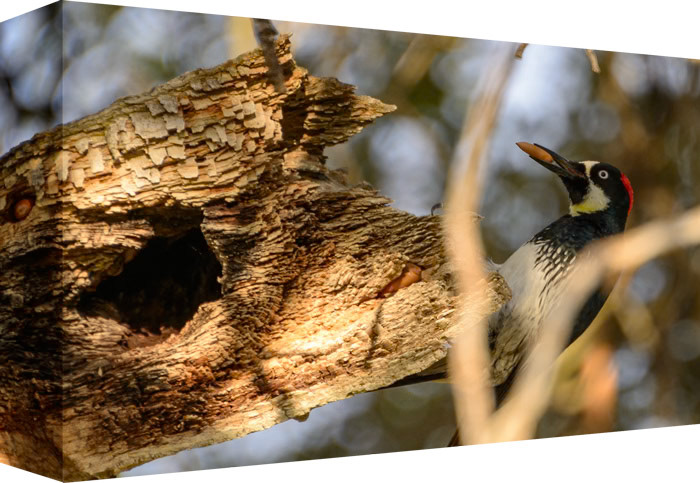 Saving One for Today and Two for Tomorrow