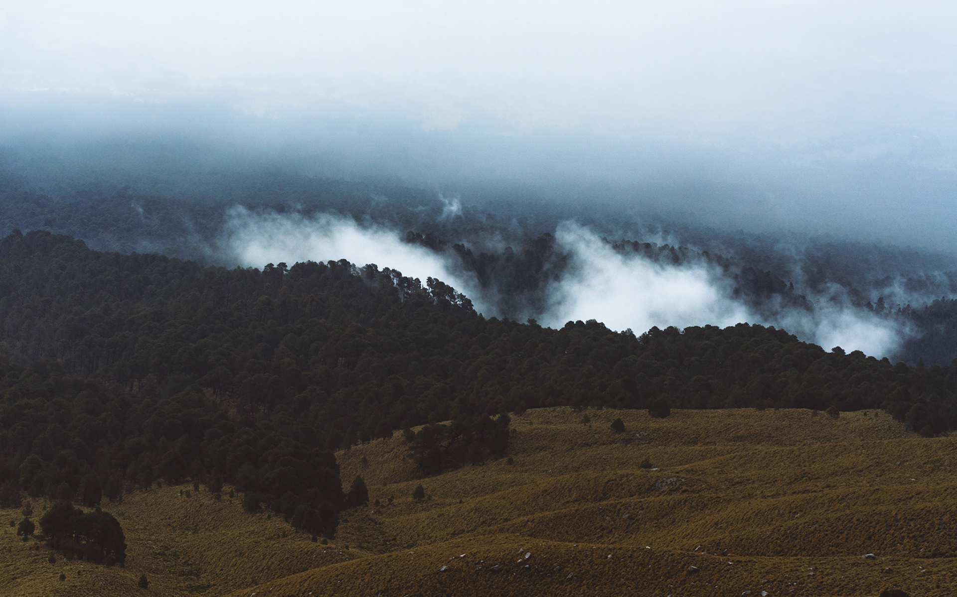 Les nuages parmis nous