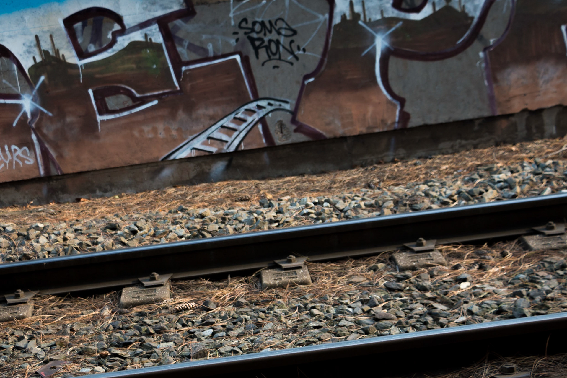 Le chemin dans le chemin