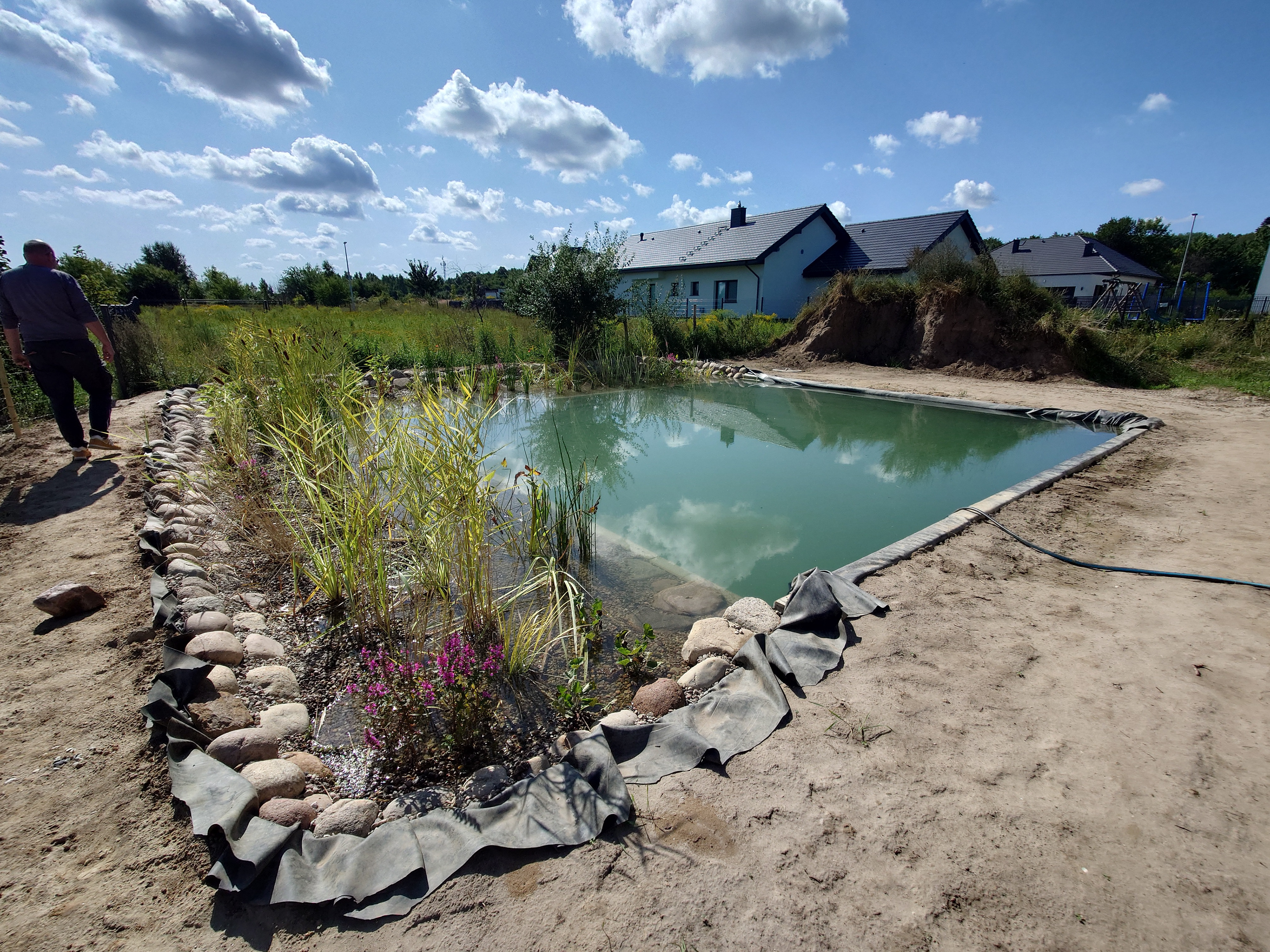 nasadzenia roślin w stawie