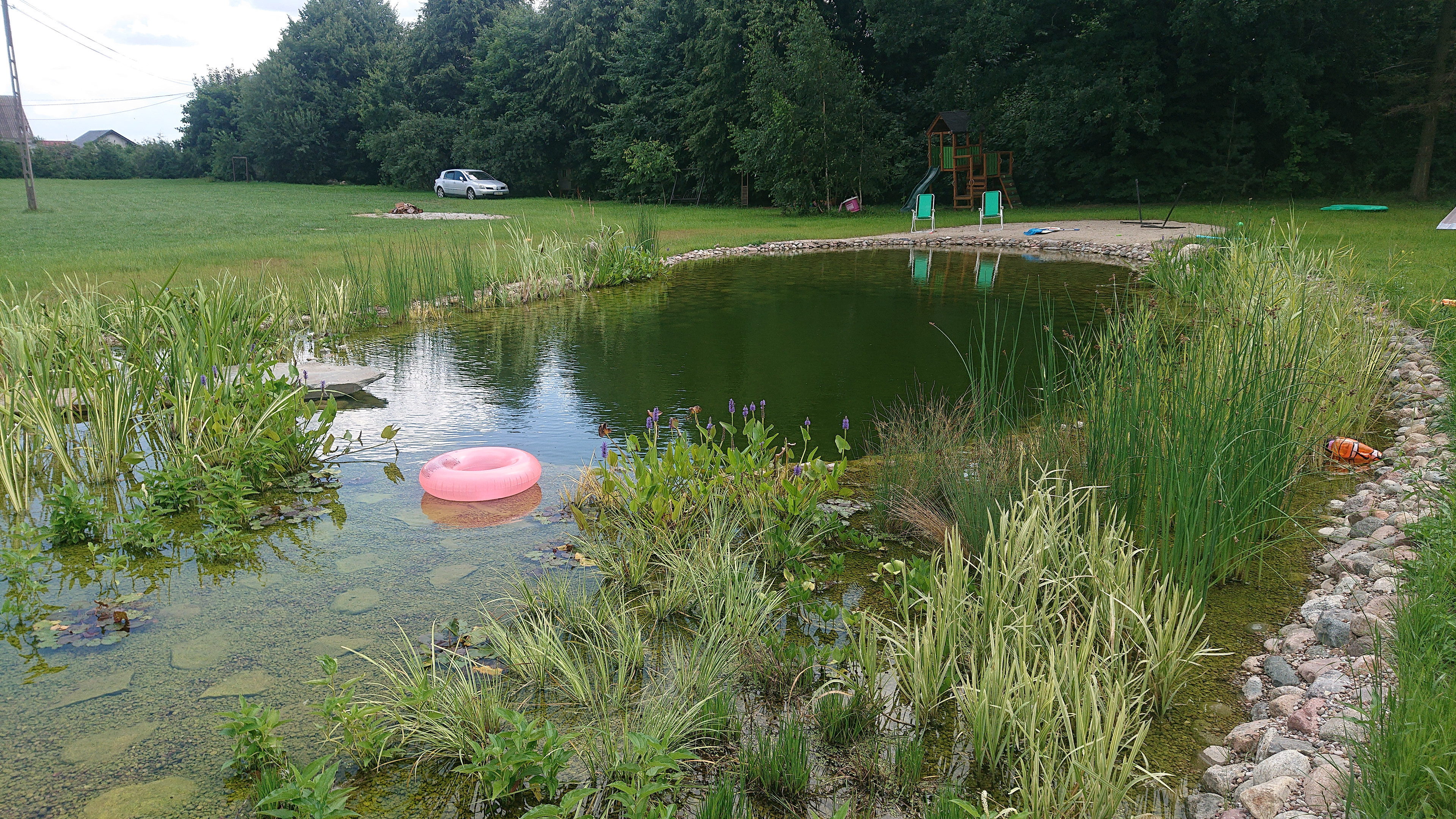 staw kąpielowy w ogrodzie