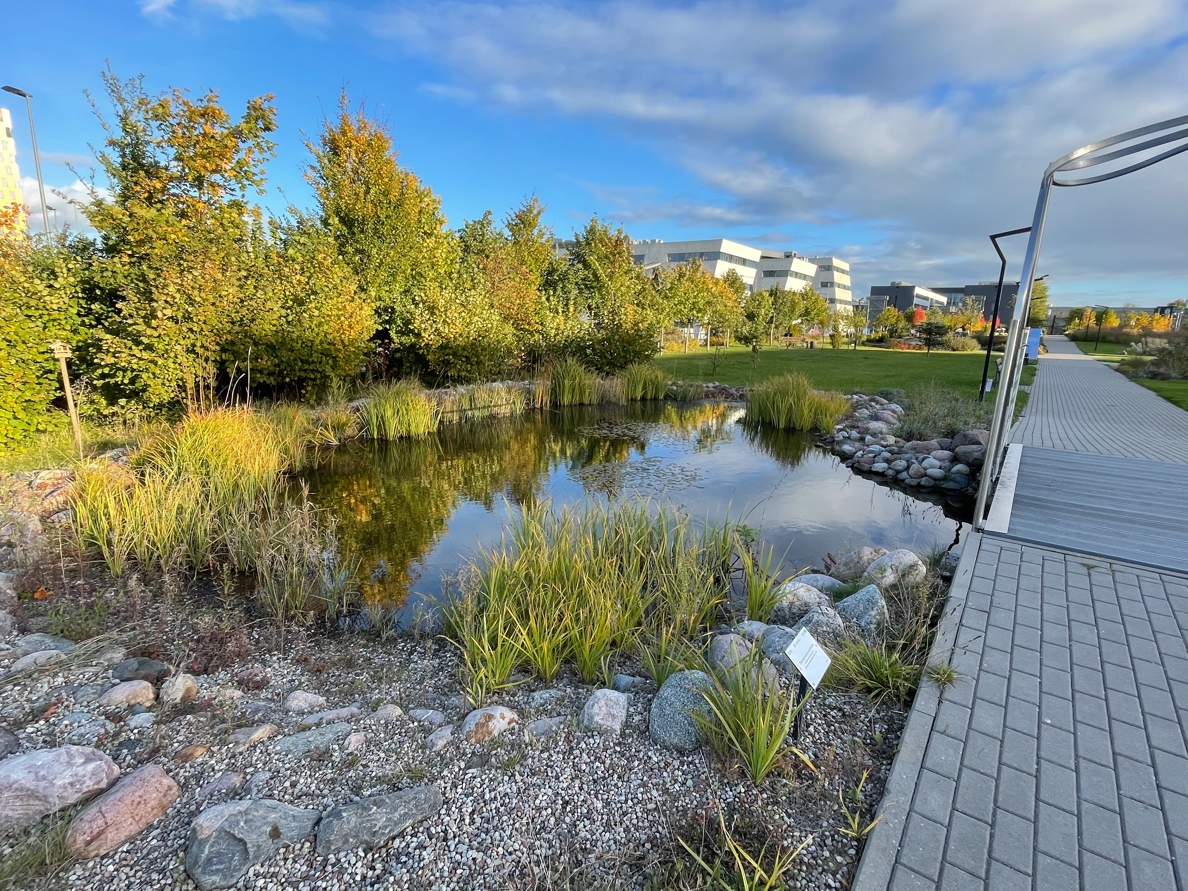 oczko wodne z kaskadą